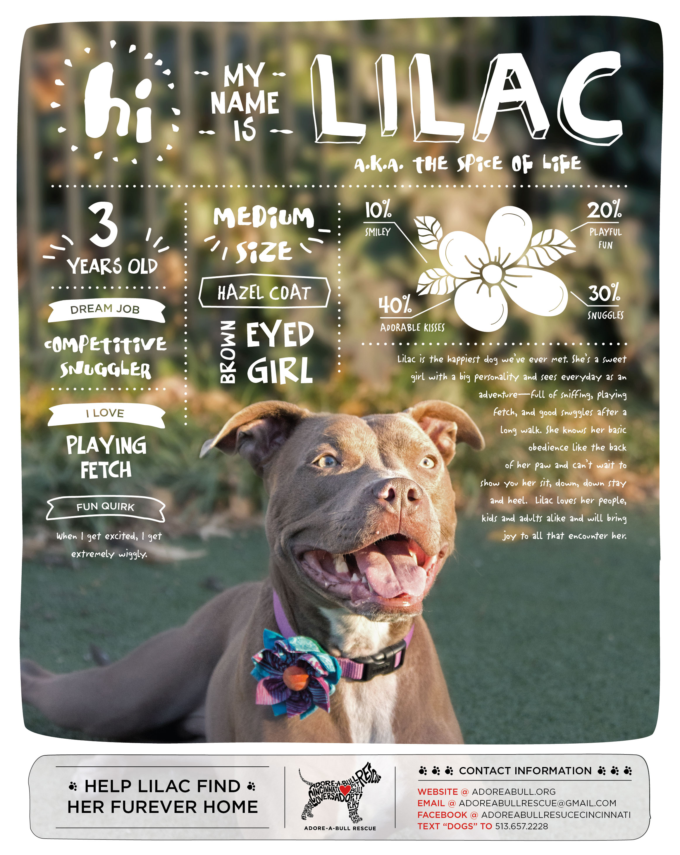 Lilac_Dog_of_the_Month_LPK_AdoreOnly-01